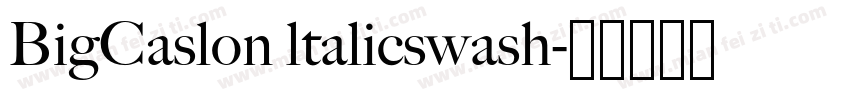 BigCaslon ltalicswash字体转换